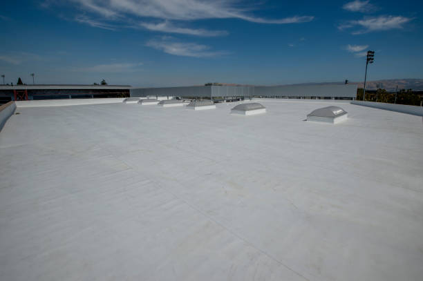 Best Rubber Roofing (EPDM, TPO)  in Susan Moore, AL
