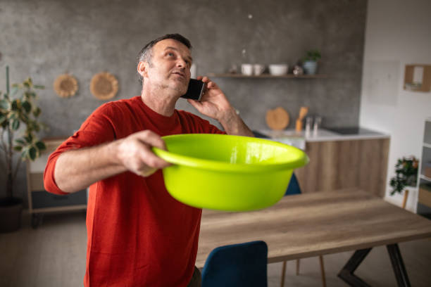 Best Roof Maintenance and Cleaning  in Susan Moore, AL