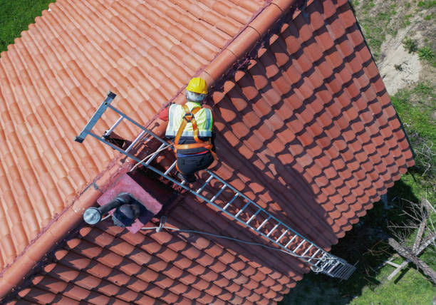 Best Skylight Installation and Repair  in Susan Moore, AL
